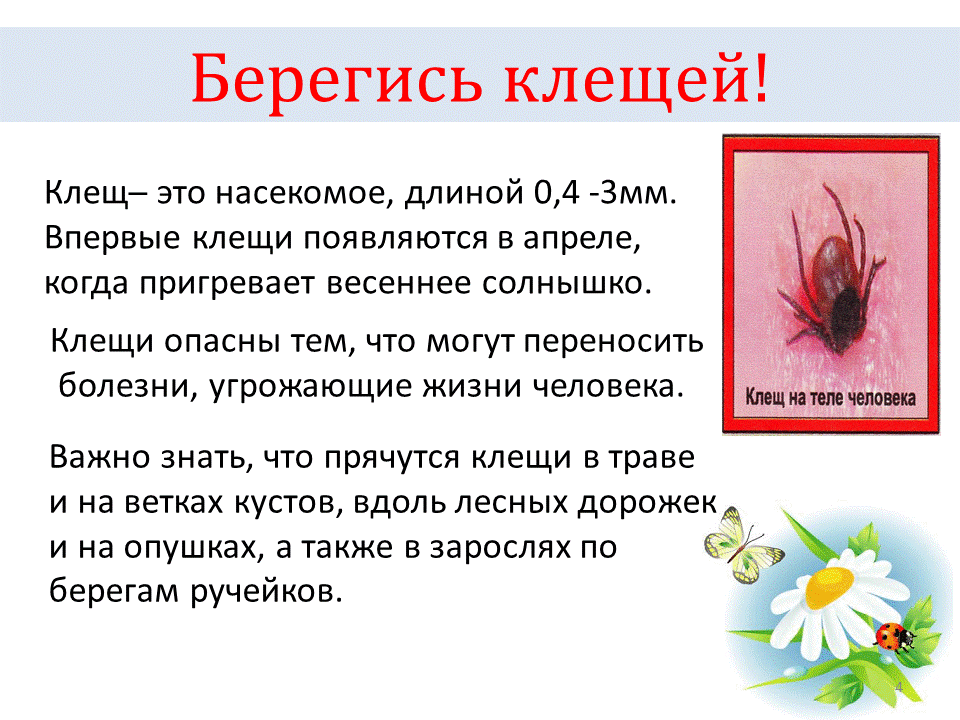 Клещи презентация для детей